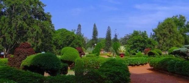 Jardins portugueses entre os melhores do mundo Jardins portugueses entre os melhores do mundo