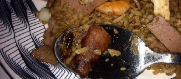Cucarachas en los platillos de comida Cucarachas en los platillos de comida