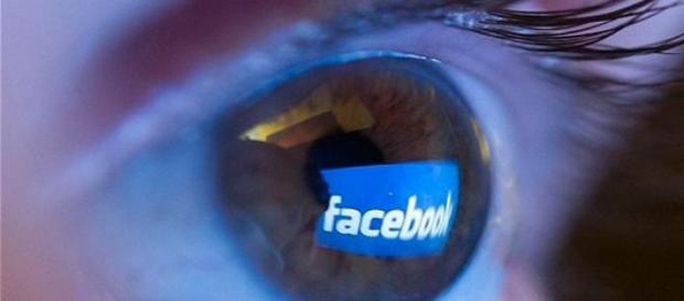 Terminología de Facebook para los usuarios Terminología de Facebook para los usuarios