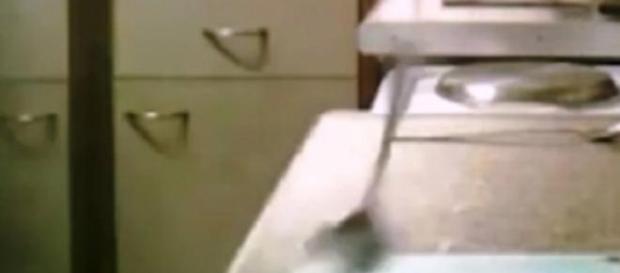 donna perseguitata dal fantasma del fratello donna perseguitata dal fantasma del fratello