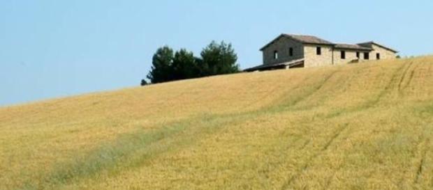 Imu agrcola, normativa approvata Imu agrcola, normativa approvata