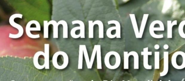 Montijo está cada vez mais verde Montijo está cada vez mais verde