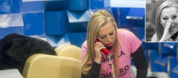 Elige al ganador de GH VIP 2015 Elige al ganador de GH VIP 2015