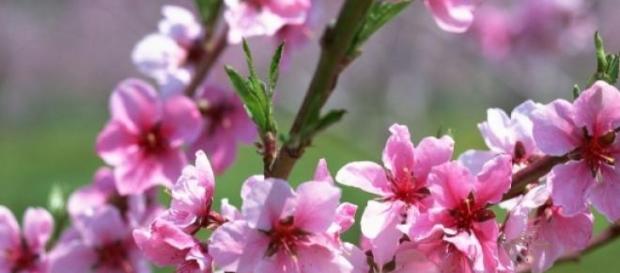 Início da Primavera às 22h45. Início da Primavera às 22h45.