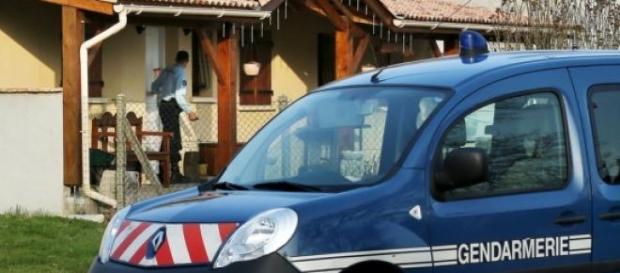 Louchats, trova cinque neonati nel congelatore Louchats, trova cinque neonati nel congelatore