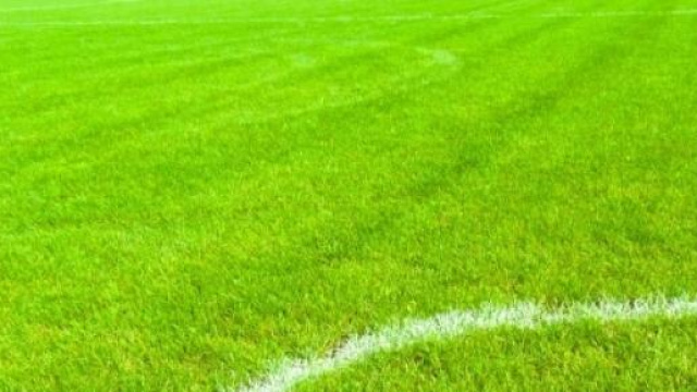 Champions League, sorteggio dei quarti di finale 