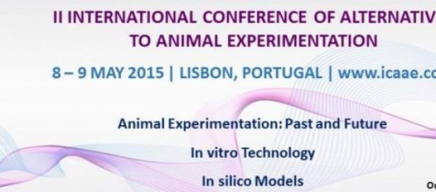 ICAAE - Lisboa, 8 e 9 de Maio 2015 ICAAE - Lisboa, 8 e 9 de Maio 2015