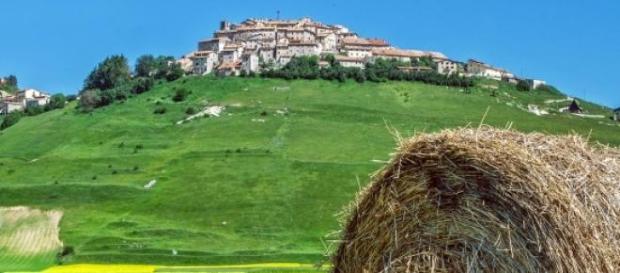 Imu sui terreni agricoli: chi paga e perchè Imu sui terreni agricoli: chi paga e perchè