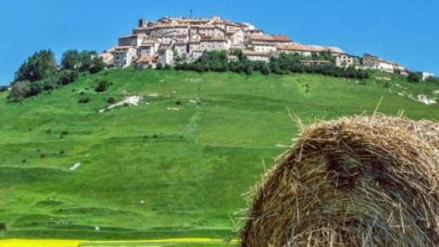 Imu sui terreni agricoli: chi paga e perchè