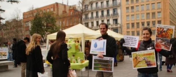 Animal Amnistie, pour une alimentation végétale Animal Amnistie, pour une alimentation végétale