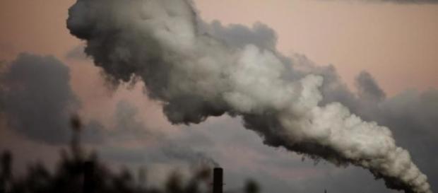 As alterações climáticas preocupam organizações As alterações climáticas preocupam organizações