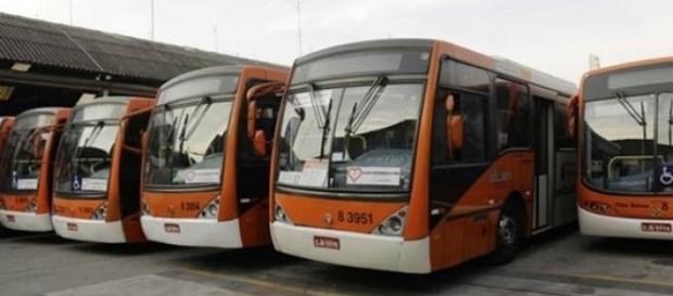 Ônibus devem ser divididos em quatro categorias Ônibus devem ser divididos em quatro categorias