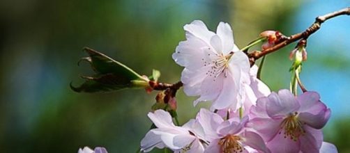 Meteo Pasqua 2015, come sarà il tempo?