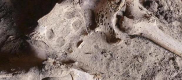 Descubren huesos con cáncer de 4200 años Descubren huesos con cáncer de 4200 años