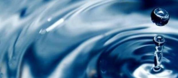 Áreas preservadas apresentam índices superiores Áreas preservadas apresentam índices superiores
