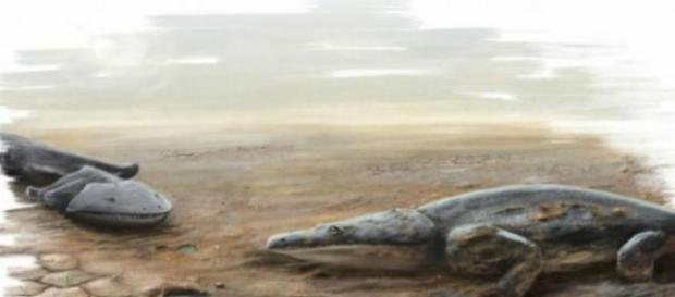 Era un animal que habitaba en ríos y lagos Era un animal que habitaba en ríos y lagos