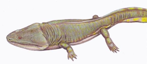 Predador gigante viveu ao lado dos dinossauros. Predador gigante viveu ao lado dos dinossauros.