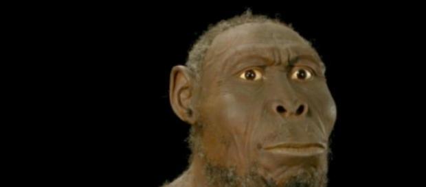 Fue un importante desarrollo evolutivo Fue un importante desarrollo evolutivo
