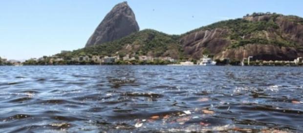 Poluição da Baía de Guanabara (Foto: Reprodução) Poluição da Baía de Guanabara (Foto: Reprodução)