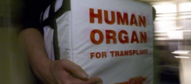 Organ for transplant carried to a hospital Organ for transplant carried to a hospital