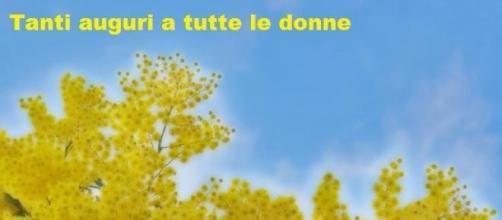 Auguri Festa Della Donna 15 Frasi D Amore E Celebri Per Stupire La Tua Lei
