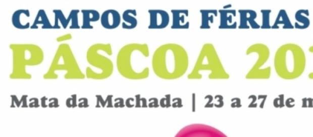 Barreiro organiza Campo de Férias na Páscoa Barreiro organiza Campo de Férias na Páscoa