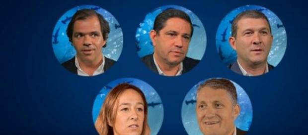 Estes são os cinco tubarões portugueses. Estes são os cinco tubarões portugueses.