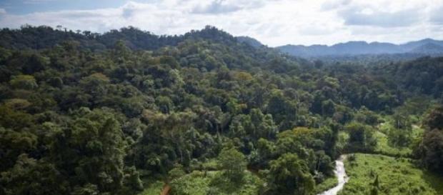 Expedição confirma existência de cidade perdida Expedição confirma existência de cidade perdida