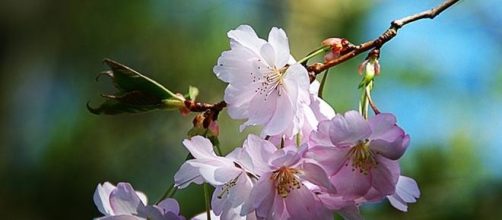 Meteo Pasqua e Pasquetta 2015