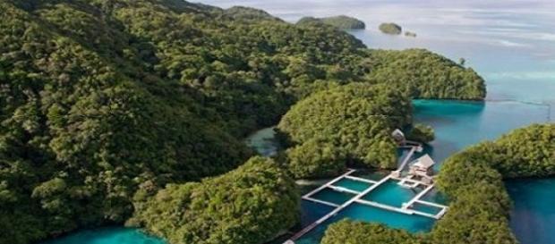 Insula Palau din Oceanul Pacific Insula Palau din Oceanul Pacific