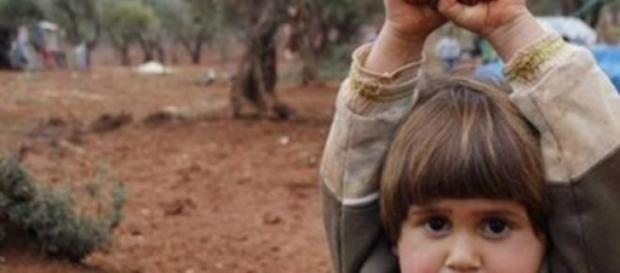 A fotografia foi tirada por Osman Sağırlı em 2014. A fotografia foi tirada por Osman Sağırlı em 2014.