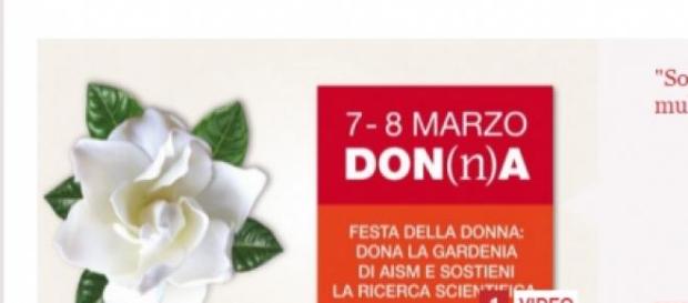 gardenia di aism donala per la feste della donna gardenia di aism donala per la feste della donna