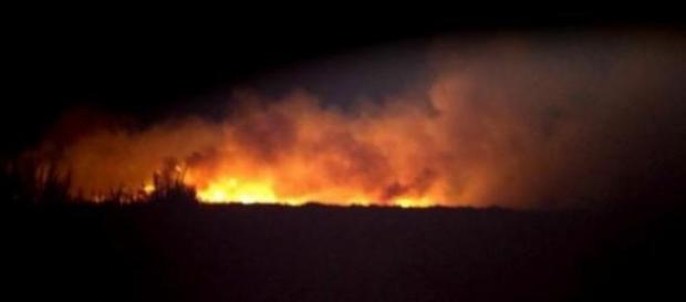 Les flammes ravagent la végétation. Les flammes ravagent la végétation.