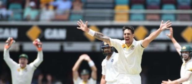 Starc celebrates a wicket Starc celebrates a wicket