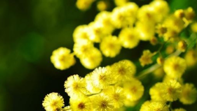 Festa della Donna 2015 idee look