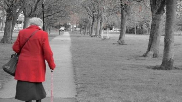 Pensioni anticipate, le ultime da Cisl, Uil e Cgil