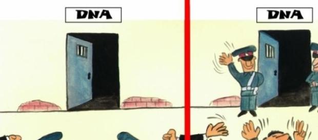 Dna ascunde ceva primejdios Dna ascunde ceva primejdios