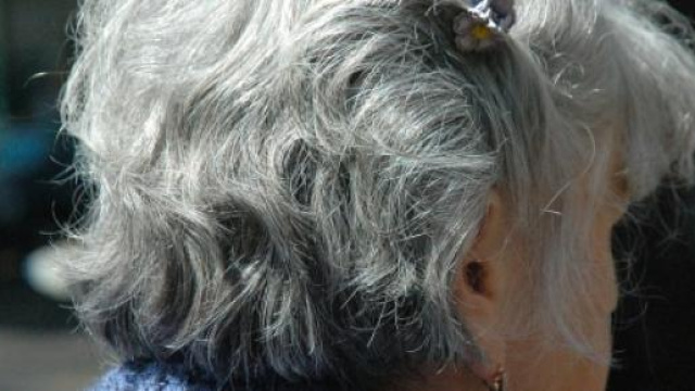 Pensioni, intesa Governo Inps sulle anticipate