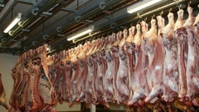 Coop cerca responsabile carni a Ferrara full-time