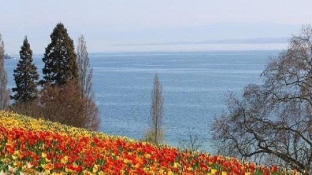 Ora legale, Pasqua e primavera 2015 ecco quando 