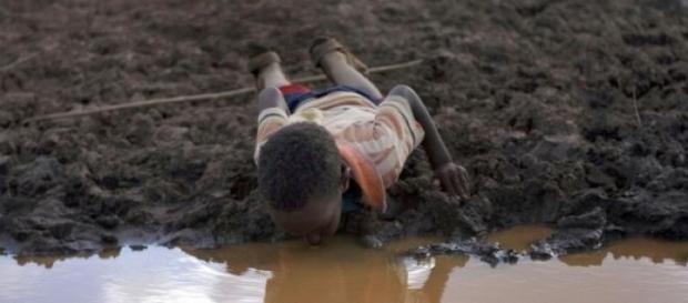 Les enfants s'abreuvent où ils le peuvent! Les enfants s'abreuvent où ils le peuvent!