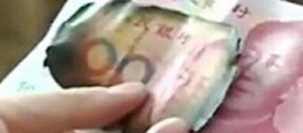 O valor queimado foram mais de 25 mil euros O valor queimado foram mais de 25 mil euros