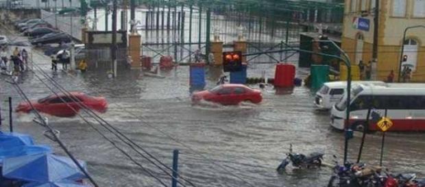 Previsão de cheia do Rio Negro em Manaus Previsão de cheia do Rio Negro em Manaus