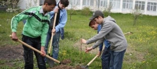 Tinerii trebuie invatati sa traiasca frumos. Tinerii trebuie invatati sa traiasca frumos.