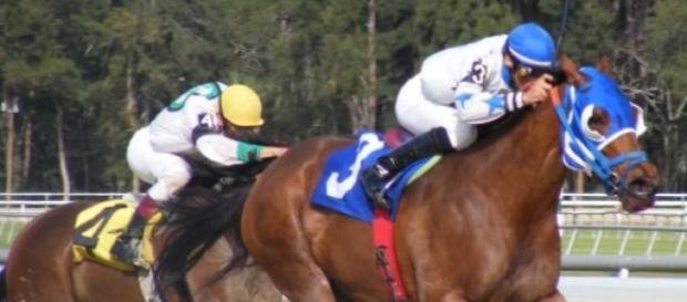 Racehorses and jockeys taking part in an event Racehorses and jockeys taking part in an event