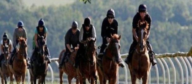 Racehorses must arrive at the course in peak form Racehorses must arrive at the course in peak form