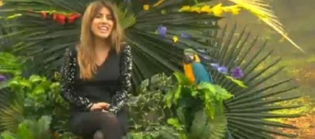 Supervivientes 2015 se pospone por ahora Supervivientes 2015 se pospone por ahora