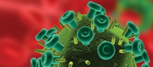 Vírus HIV pode estar perto de ser curado Vírus HIV pode estar perto de ser curado