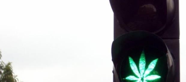 A cannabis é uma droga ilegal em Portugal. A cannabis é uma droga ilegal em Portugal.