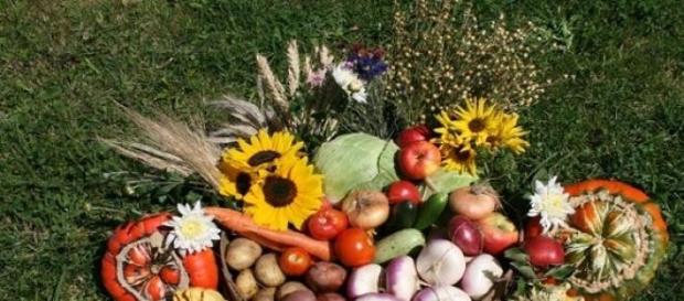 Alimentos orgânicos ocupam a mesa dos brasileiros Alimentos orgânicos ocupam a mesa dos brasileiros